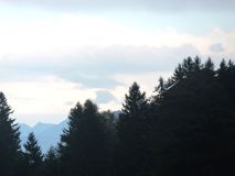 P1001994