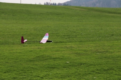 20190413_1001439600_18