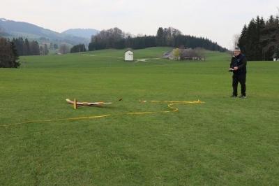 20190413_1733709502_14