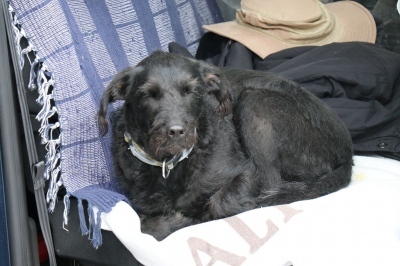 20190413_1871551563_20