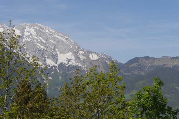 20180509_1202943209_p1160694_klein