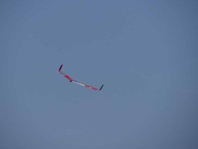 20190824_1064535675_p1190466_klein