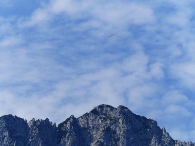 20190824_1143776592_p1190442_klein