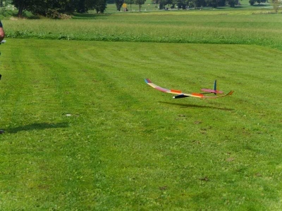 20190824_1440037444_p1190457_klein