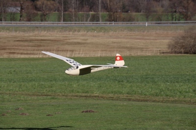 20190317_2061119621_059