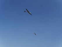 P1200502
