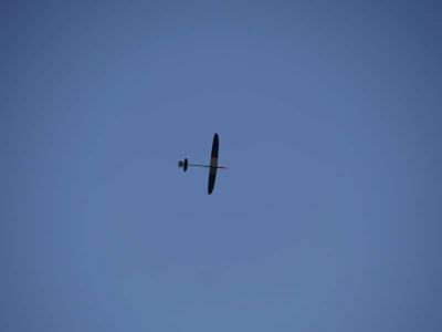 20190804_1455776119_p1190183_klein