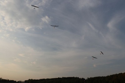 20190902_1744244789_08