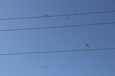 20190902_2009789692_09