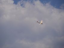 P1240014