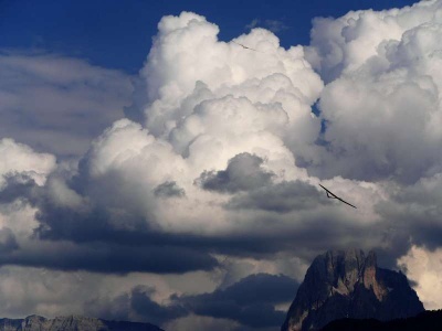 20190728_1018281030_p1190020_klein