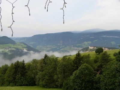 20190728_1283841618_p1190173_klein