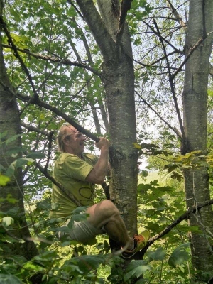 20190728_1412680296_p1190100_klein