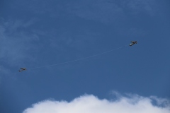 IMG_0037