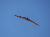 P1002241