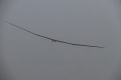 20180909_1049794648_04