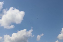 20180909_1144820109_13