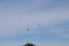 20180909_1520901643_17